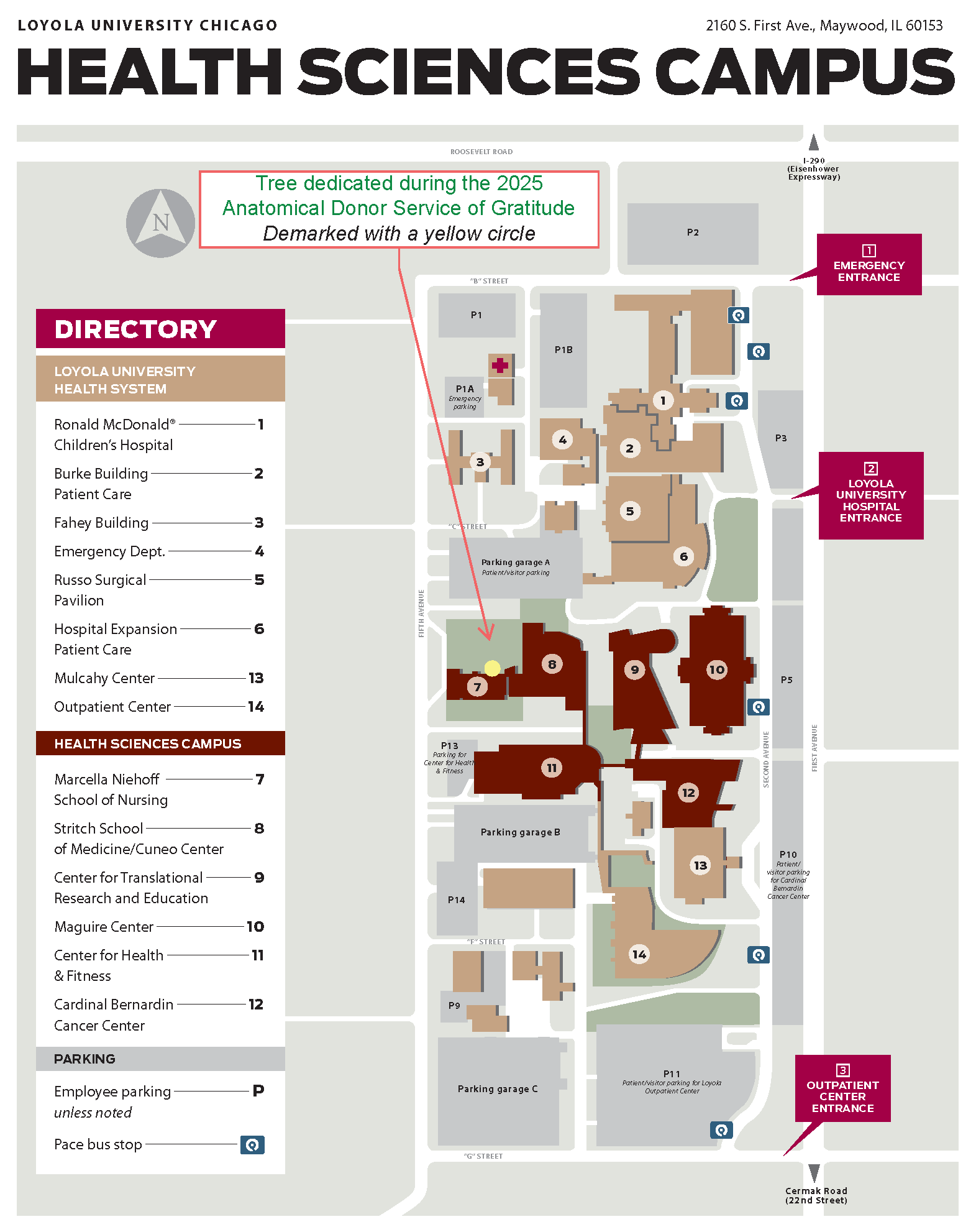 Map with location of the dedicated tree on LUC's Health Sciences Campus.
